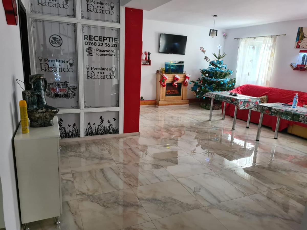 Pensiunea Riccardo Brassó Kültér fotó